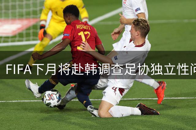FIFA下月将赴韩调查足协独立性问题